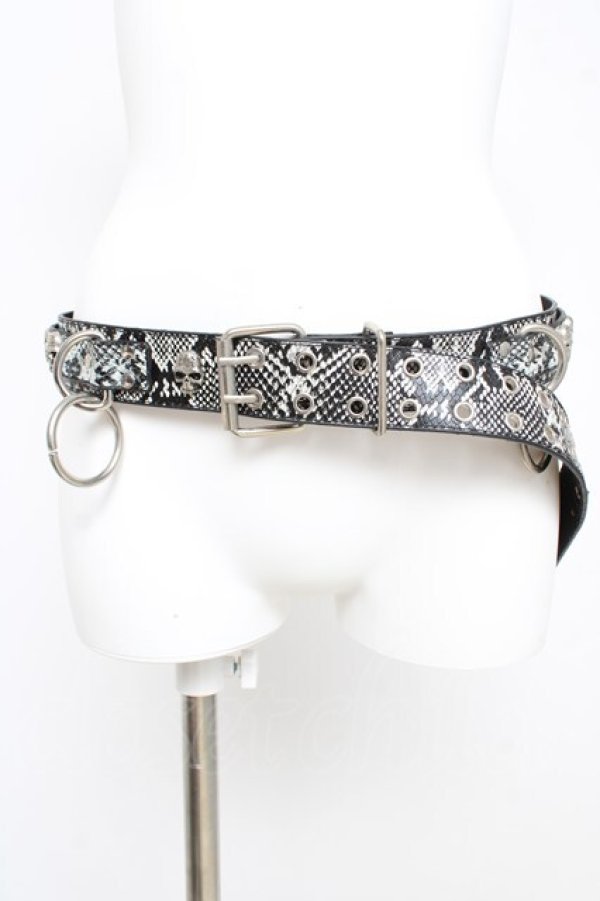 画像2: SEX POT ReVeNGe / パイソン柄スカルリングベルト  ブラック/グレー Y-26-03-03-004-SP-ZA-SZ-ZY (2)
