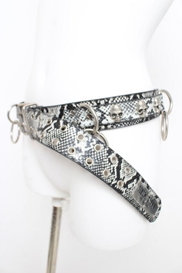 画像4: SEX POT ReVeNGe / パイソン柄スカルリングベルト  ブラック/グレー Y-26-03-03-004-SP-ZA-SZ-ZY (4)