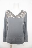 画像1: axes femme / 薔薇レースインナープルオーバー  グレー Y-26-03-03-034-AX-TO-SZ-ZY (1)