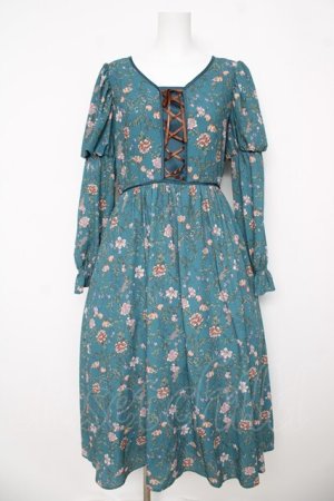 画像: axes femme Nostalgic / ボタニカル柄レースアップワンピース  グリーン Y-26-03-06-173-LO-OP-SZ-ZY