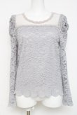 画像1: axes femme POETIQUE / 総刺繍レース切替トップス  グレー Y-26-03-09-042-AX-TO-SZ-ZY (1)
