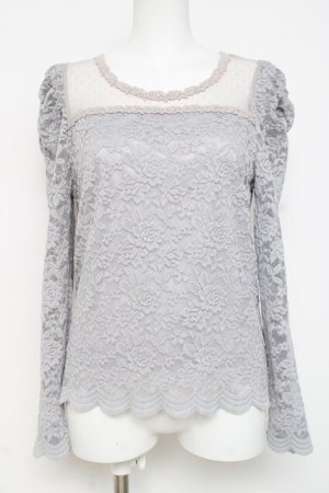 画像: axes femme POETIQUE / 総刺繍レース切替トップス  グレー Y-26-03-09-042-AX-TO-SZ-ZY