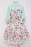 画像3: Angelic Pretty / Dramatic Roseワンピース  ミント Y-26-03-16-105-AP-OP-AS-ZY (3)