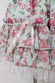 画像6: Angelic Pretty / Dramatic Roseワンピース  ミント Y-26-03-16-105-AP-OP-AS-ZY (6)