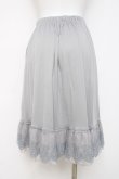 画像2: axes femme / レース重ねペチスカート M グレー Y-26-03-16-190-AX-SK-SZ-ZY (2)