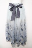 画像1: axes femme / グラデチュール刺繍スカート M サックス Y-26-03-18-183-AX-SK-SZ-ZY (1)