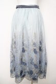 画像2: axes femme / グラデチュール刺繍スカート M サックス Y-26-03-18-183-AX-SK-SZ-ZY (2)