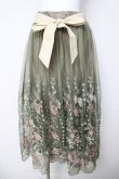 画像1: axes femme / グラデチュール刺繍スカート M グリーン Y-26-03-18-191-AX-SK-SZ-ZY (1)