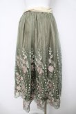 画像2: axes femme / グラデチュール刺繍スカート M グリーン Y-26-03-18-191-AX-SK-SZ-ZY (2)