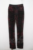 画像1: SEX POT ReVeNGe / GRUNGE PUNK CRUSH STRETCH スキニーパンツ L ブラック/レッド Y-26-03-20-169-SP-PA-SZ-ZY (1)