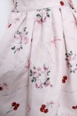 画像3: Ank Rouge / Cherry Roseスカート M ピンク Y-26-03-24-126-CA-SK-SZ-ZY (3)