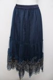 画像1: axes femme / 額縁刺繍チュールスカート F 紺 Y-26-03-30-096-AX-SK-SZ-ZY (1)