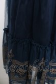 画像3: axes femme / 額縁刺繍チュールスカート F 紺 Y-26-03-30-096-AX-SK-SZ-ZY (3)