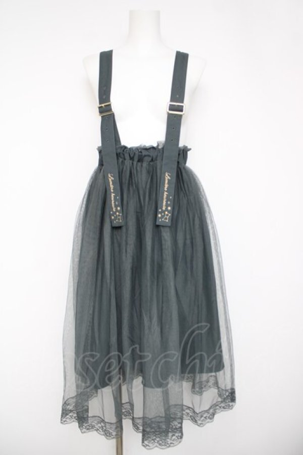 画像1: axes femme POETIQUE / 刺繍サス付チュールスカート  グリーン Y-26-04-03-154-AX-SK-SZ-ZY (1)