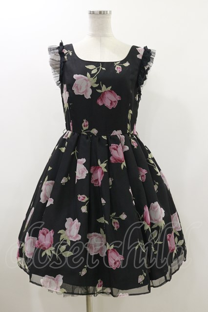 mille fille closet by LODISPOTTO / Love Mine Roseワンピース H-23